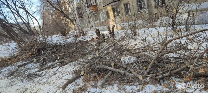 Спил деревьев расчистка участков