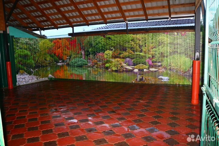 Передержка