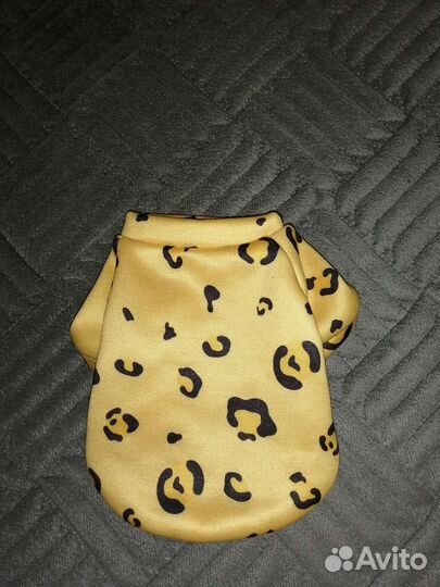 Одежда для маленьких пород собак