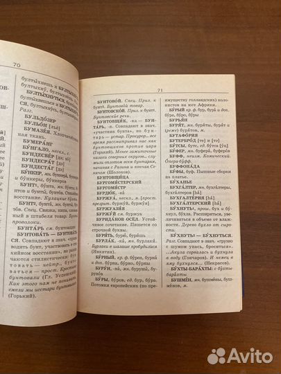 Словарь трудностей русского языка