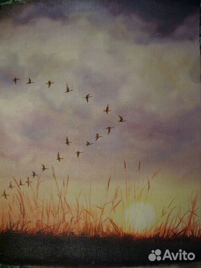 Роспись интерьера, живопись, фотография