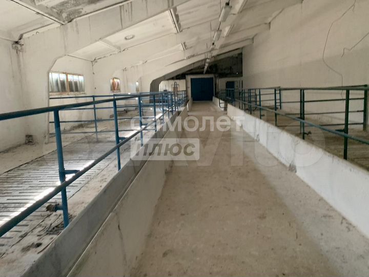 Участок 12,84 га (личное подсобное хозяйство (лпх))