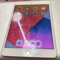 iPad mini 4