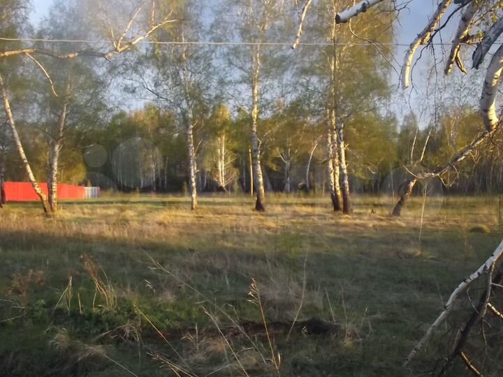 Участок 14 сот. (СНТ, ДНП)