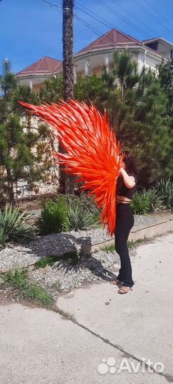 Крылья ангела черные,белые, красные, золотые