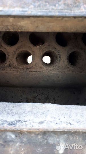 Катель тайга