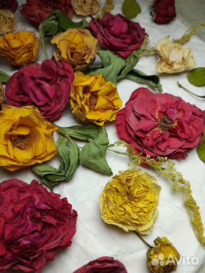 Набор сухоцветов для эпоксидной смолы