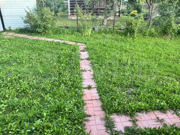 Дача 14,8 м² на участке 4,05 га