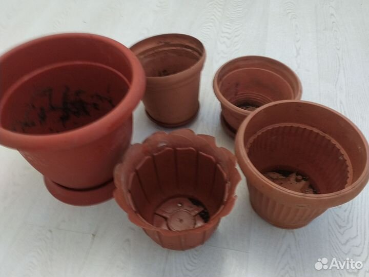 Горшки для цветов бу