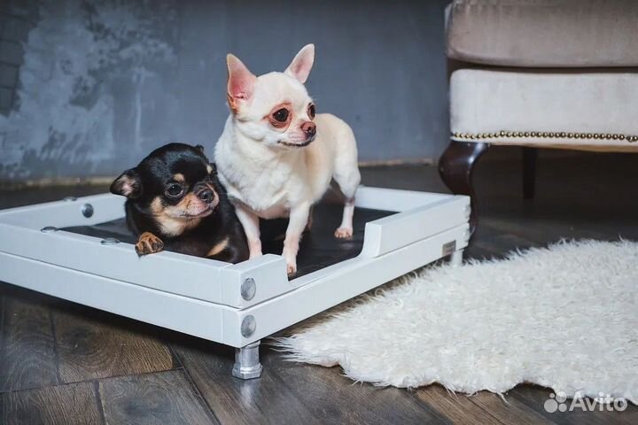 Лежанка для собак и кошек / Домик для собак