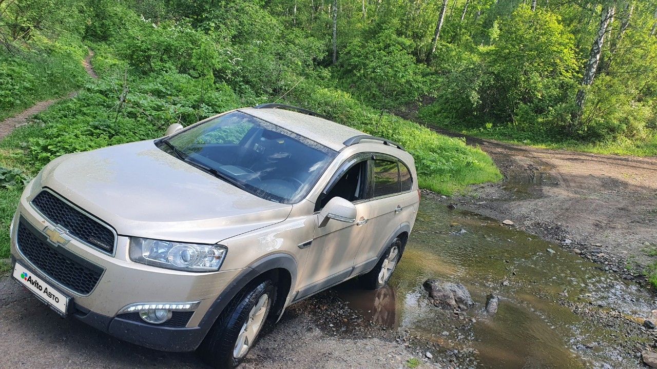 Chevrolet Captiva: фото владельца