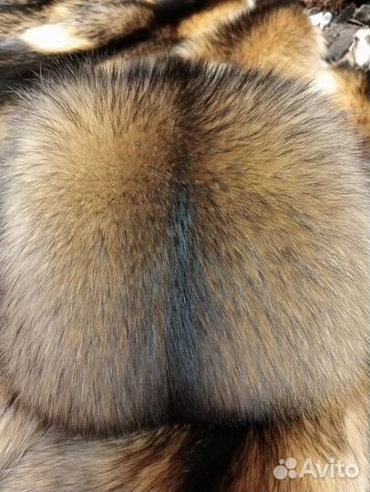 Шкурки енотовидной собаки