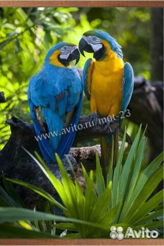 Настенный электрообогреватель