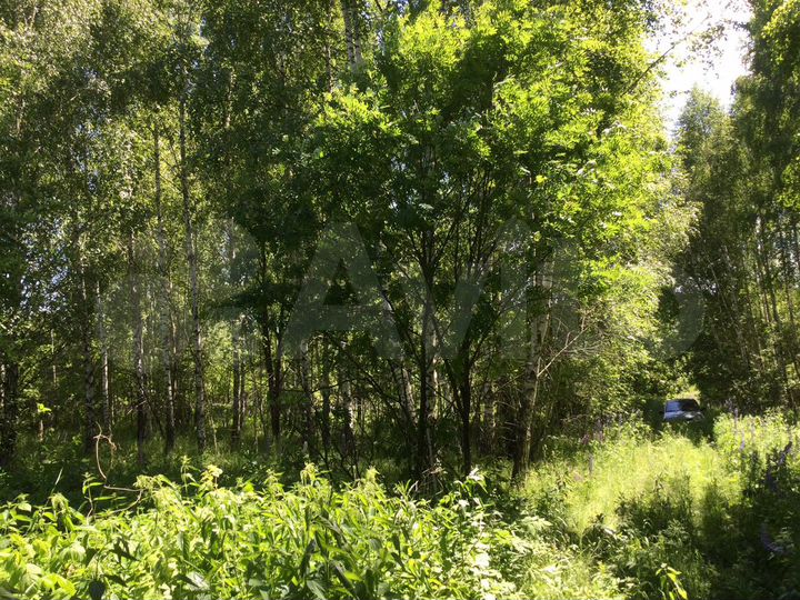 Участок 10 сот. (СНТ, ДНП)