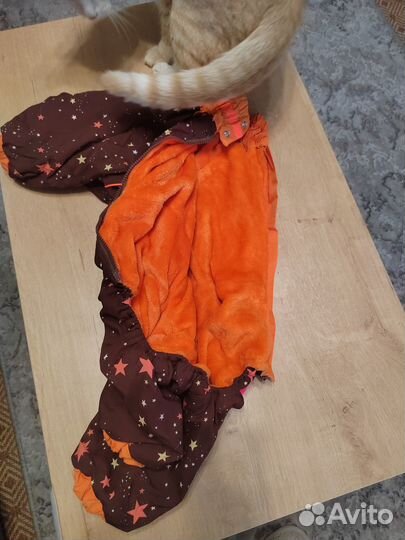 Продам комбинезон на собаку среднего размера