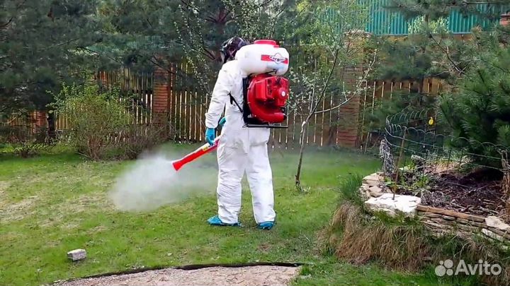 Уничтожение клопов/слизней/короеда/змей/ос/мух