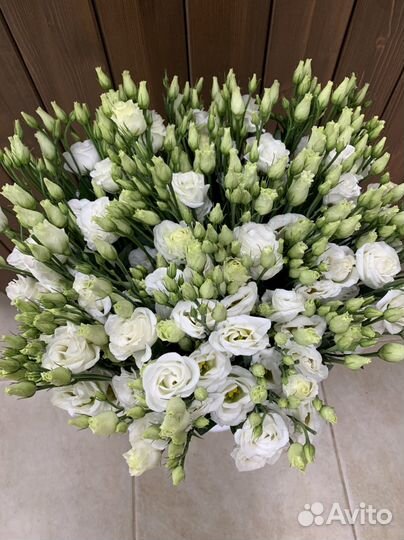 Лизиантус, эустома, букет