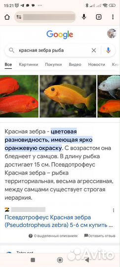 Рыбки для аквариума