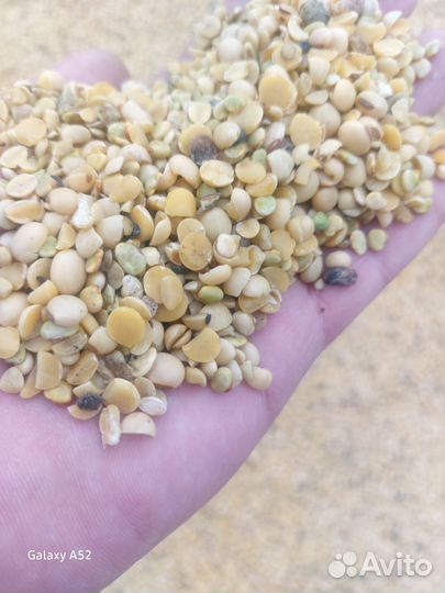 Соя пловинки