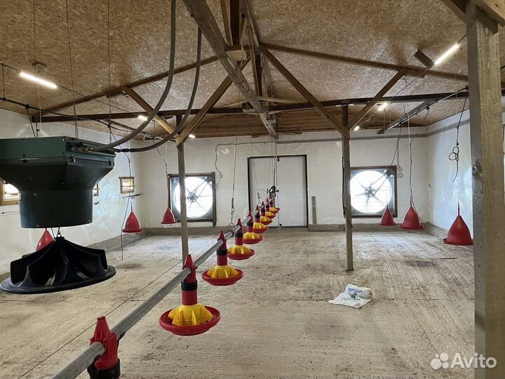 Животноводческая ферма (Эко туризм) продаю