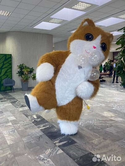 Белый Мишка Умка, Панда,Кот,Бурый Мишка