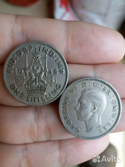 Шотландский щит.1948г