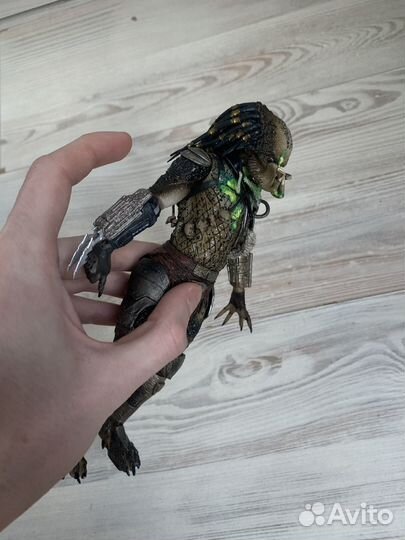 Jungle hunter predator