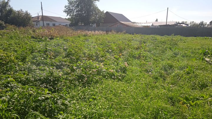 Участок 10,59 га (ИЖС)