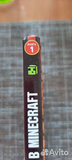 Книга Майнкрафт Дневник Стива, застрявшего книга 1