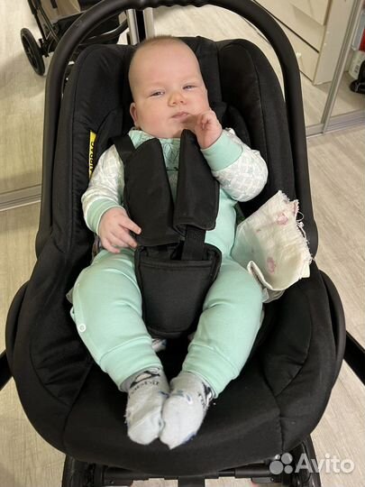 Коляска rico basic ozon 3 в 1