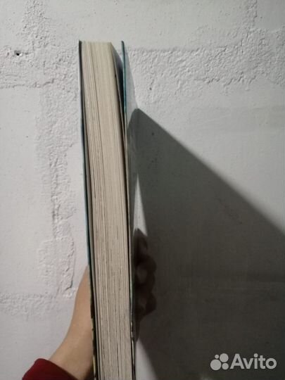 Книга на китайском языке детская