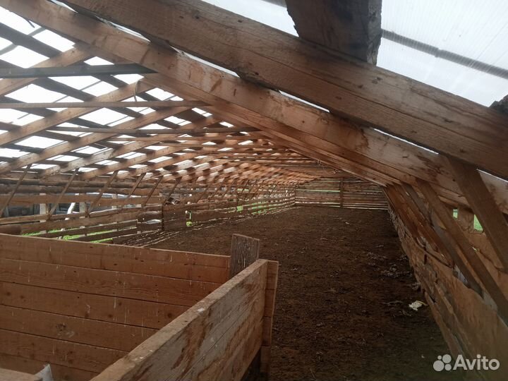 Овечья ферма