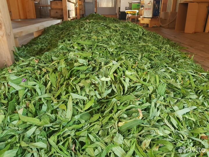 Иван-чай листовой и гранулированный эксклюзивные в