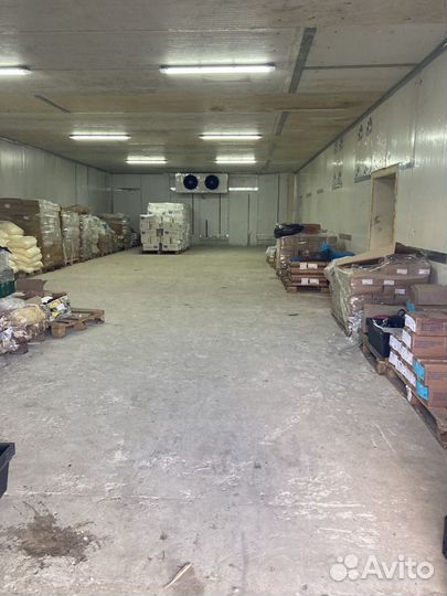 Аренда морозильный и холодильный склад