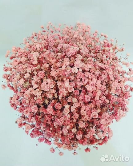 Коробочка с розовой гипсофилой