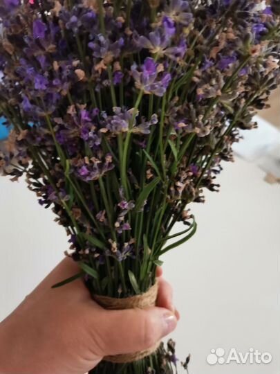 Букет из Лаванды