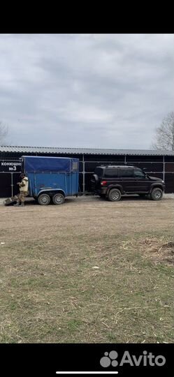 Перевозка лошадей