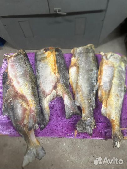 Рыба для животных