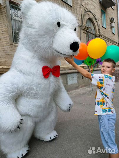 Мишка Тедди, Белый Мишка, Чебур поздравление