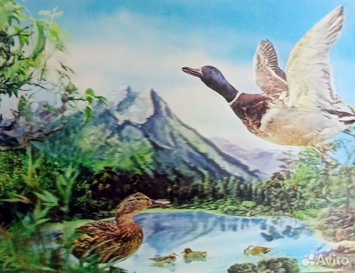 Стерео открытки. Винтаж 70- гг. Япония