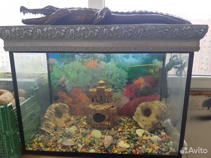 Аквариум