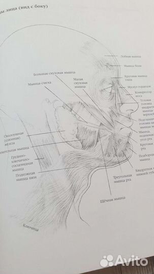 Книга техника рисования