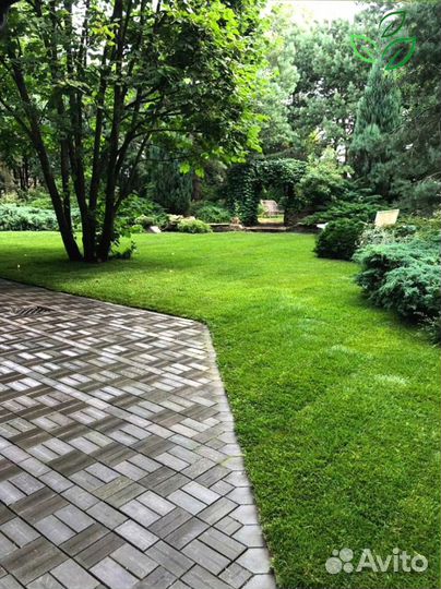 Рулонный газон. Укладка газона