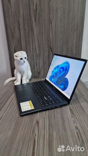 Asus с oled экраном