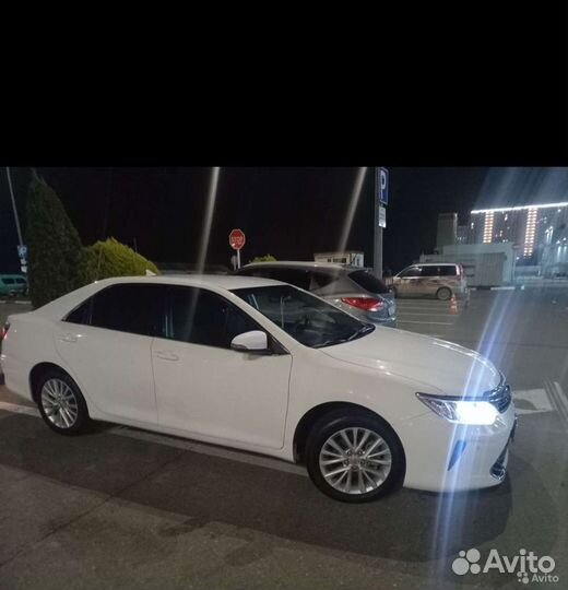 Трансфер.Трезвый водитель