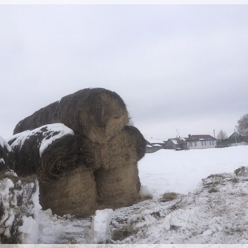 Сена в тюках