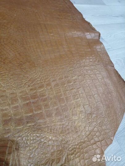 Огромная интерьерная натуральная кожа,шкура.аллига