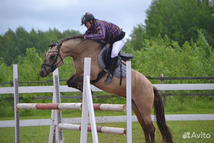 Вальтрап Felix Buhler