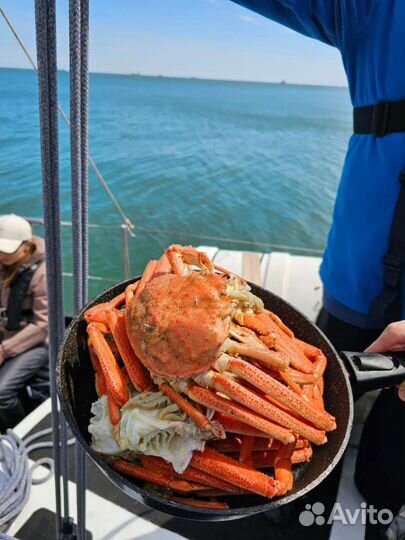 Морские прогулки б. Русская, о. Старичков,Камчатка