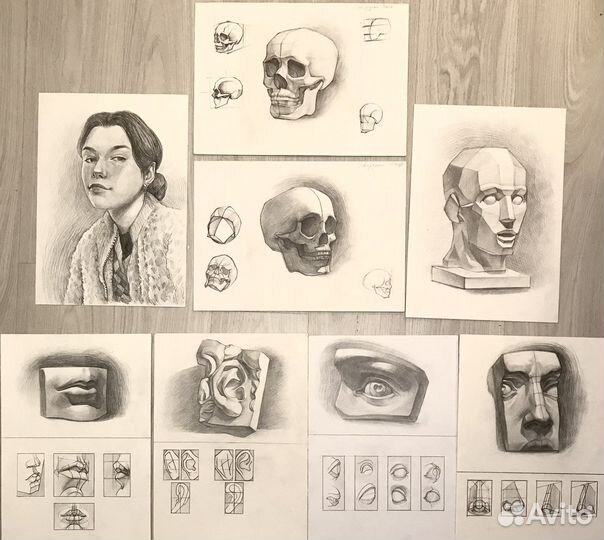 Репетитор по академическому рисунку